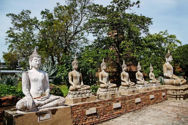  Kamienne posagi siedzcego Buddy w dawnej stolicy Tajlandi - Ayutthaya