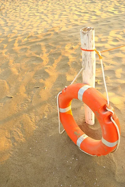 Summer sea, lifebuoy on the beach, vertical — Stock Photo, Image