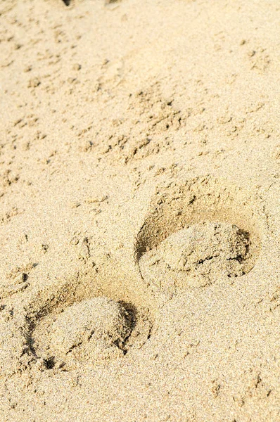 Summer sea, horse footprints on the sand, vertical — Stock Photo, Image