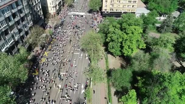 Belgrad Marathon 2018 Start — Stockvideo