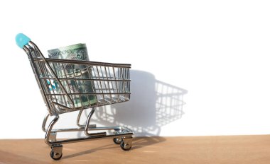 Polonyalı zloti dolu alışveriş arabası - banknotlar - para, alışveriş arabasındaki para