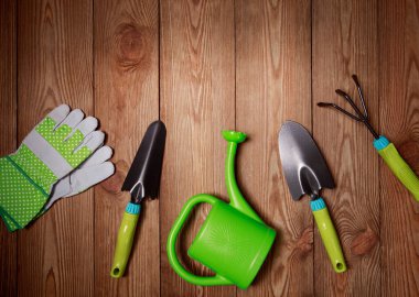 Çaydanlık içinde yeşil fidan ve ahşap arka planda aletler. Ekoloji teması