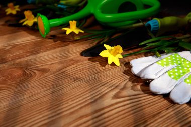 Ahşap arka planda bahçe aletleri ve çiçekler.