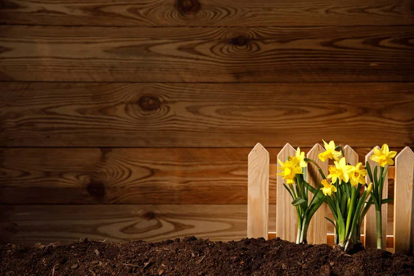 Flores Macetas Sobre Fondo Vintage Concepto Jardinería Primavera Composición Jardinería — Foto de Stock