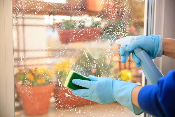 housekeeping: cleaning the windows, Window cleaner using a squeegee, sponge and soap suds to wash a window