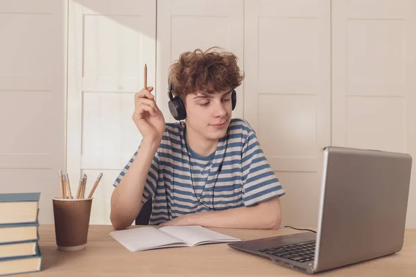 Garoto Atencioso Sua Mesa Está Pensando Aprender Aprendizagem Distância Por Imagem De Stock