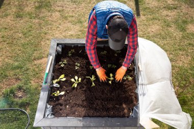 Balkonunuzda ya da terasınızda sebze bahçesi yapmak için konteyner. Etikette şu başlıklar gösteriliyor: 