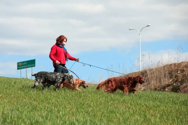 Védőmaszkot Viselő Egyedül Sétál Egy Kutyával Szabadban Koronavírus Járvány Covid — Stock Fotó