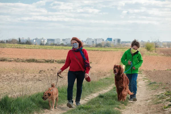 woman and boy in the street wearing protective mask and walking with dogs. corona virus concept. Family walking dog during virus outbreak