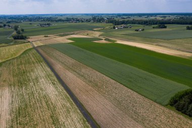 Polonya topraklarıyla birlikte ilkbahar havası. Tipik Polonya manzarası yukarıdan çekilmiş. Tarım alanlarının havadan görünüşü