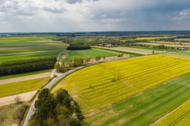 Polonya topraklarıyla birlikte ilkbahar havası. Tipik Polonya manzarası yukarıdan çekilmiş. Tarım alanlarının havadan görünüşü