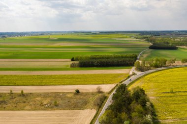 Polonya topraklarıyla birlikte ilkbahar havası. Tipik Polonya manzarası yukarıdan çekilmiş. Tarım alanlarının havadan görünüşü