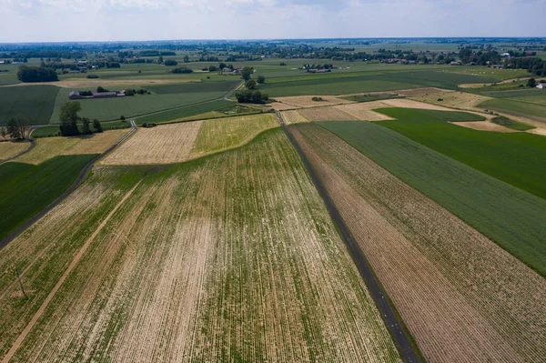 Early spring aerial landscape with fields of Poland. Typical polish landscape photographed from above. Aerial view of agricultural fields