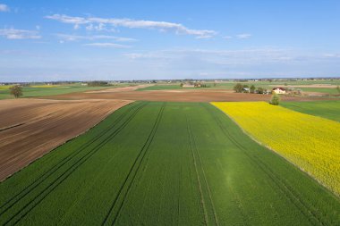 Polonya topraklarıyla birlikte ilkbahar havası. Tipik Polonya manzarası yukarıdan çekilmiş. Tarım alanlarının havadan görünüşü