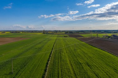 Polonya topraklarıyla birlikte ilkbahar havası. Tipik Polonya manzarası yukarıdan çekilmiş. Tarım alanlarının havadan görünüşü