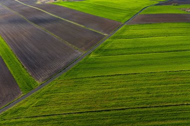 Polonya topraklarıyla birlikte ilkbahar havası. Tipik Polonya manzarası yukarıdan çekilmiş. Tarım alanlarının havadan görünüşü