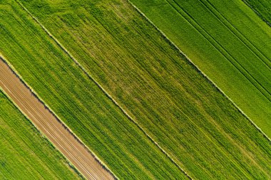 Polonya topraklarıyla birlikte ilkbahar havası. Tipik Polonya manzarası yukarıdan çekilmiş. Tarım alanlarının havadan görünüşü
