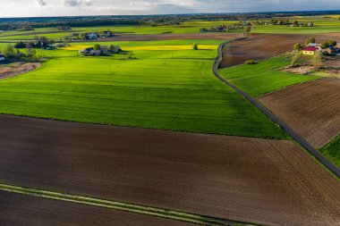 Polonya topraklarıyla birlikte ilkbahar havası. Tipik Polonya manzarası yukarıdan çekilmiş. Tarım alanlarının havadan görünüşü