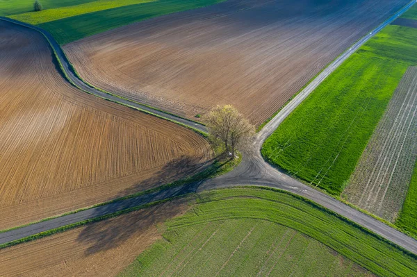 Early spring aerial landscape with fields of Poland. Typical polish landscape photographed from above. Aerial view of agricultural fields