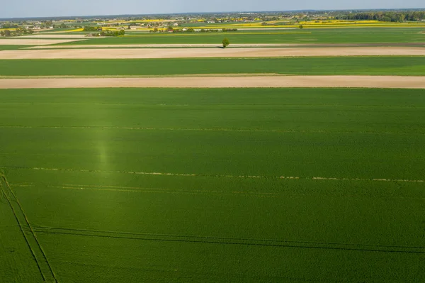 Early Spring Aerial Landscape Fields Poland Typical Polish Landscape Photographed — Stock Photo, Image