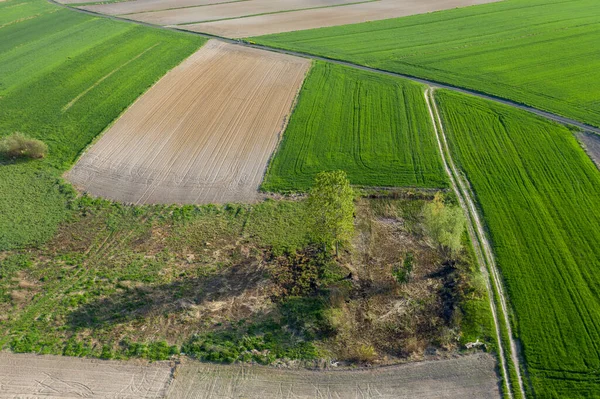 Early spring aerial landscape with fields of Poland. Typical polish landscape photographed from above. Aerial view of agricultural fields