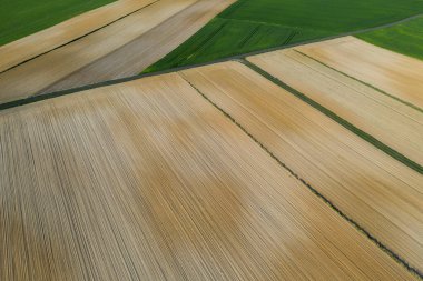 Polonya topraklarıyla birlikte ilkbahar havası. Tipik Polonya manzarası yukarıdan çekilmiş. Tarım alanlarının havadan görünüşü