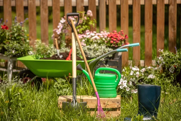 Concept Background Gardening Flores Uma Lata Rega Jardim Luvas Pequena — Fotografia de Stock