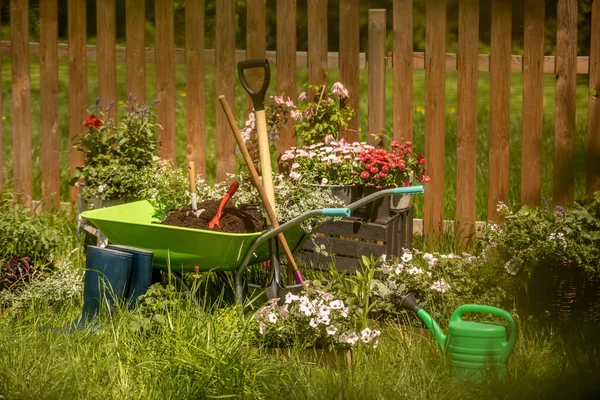 Concepto Fondo Para Jardinería Flores Una Regadera Jardín Guantes Pala —  Fotos de Stock