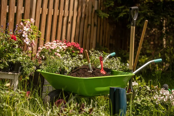 Concept Background Gardening Flores Uma Lata Rega Jardim Luvas Pequena — Fotografia de Stock