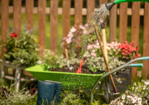 Concept Background Gardening Flores Uma Lata Rega Jardim Luvas Pequena — Fotografia de Stock