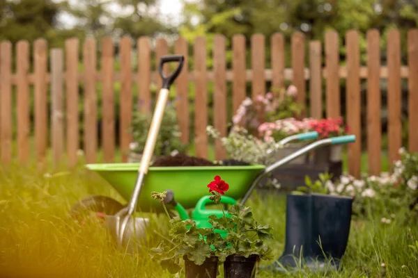 Concepto Fondo Para Jardinería Flores Una Regadera Jardín Guantes Pala —  Fotos de Stock