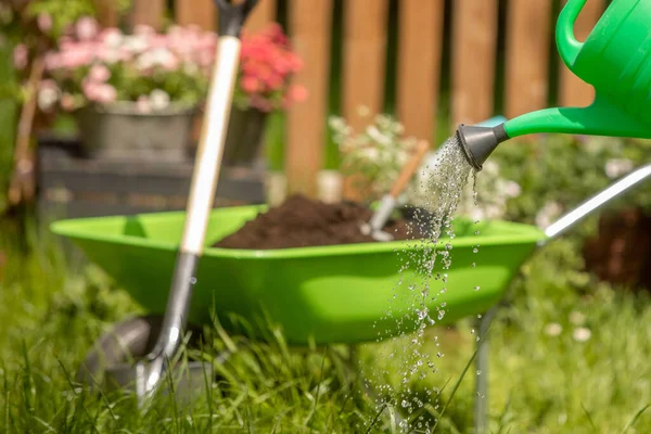 Konzeptioneller Hintergrund Für Die Gartenarbeit Blumen Eine Gartengießkanne Handschuhe Kleine — Stockfoto