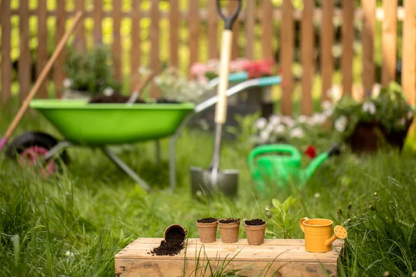 Concepto Fondo Para Jardinería Flores Una Regadera Jardín Guantes Pala —  Fotos de Stock