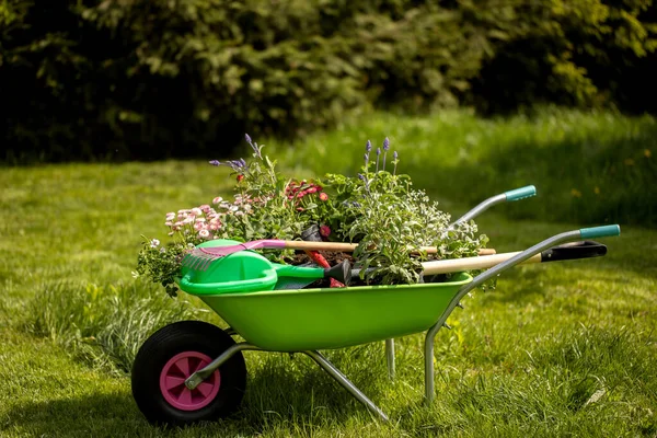 Concepto Fondo Para Jardinería Flores Una Regadera Jardín Guantes Pala —  Fotos de Stock