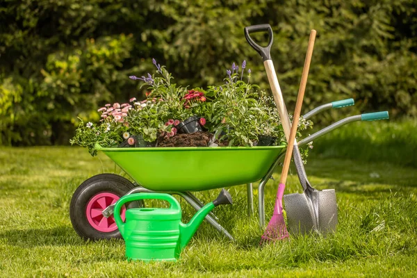 Concept Background Gardening Flores Uma Lata Rega Jardim Luvas Pequena — Fotografia de Stock