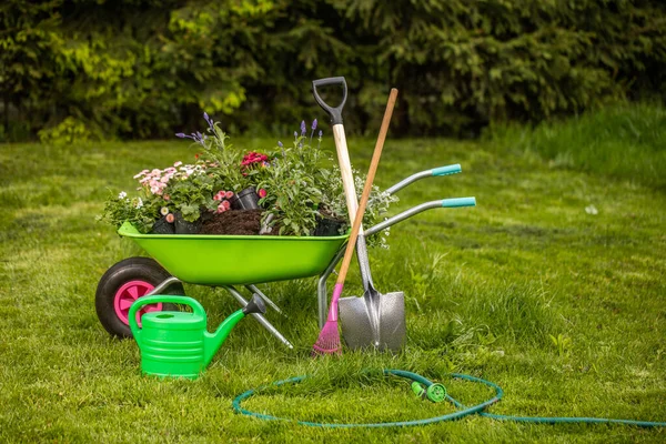 Konzeptioneller Hintergrund Für Die Gartenarbeit Blumen Eine Gartengießkanne Handschuhe Kleine — Stockfoto