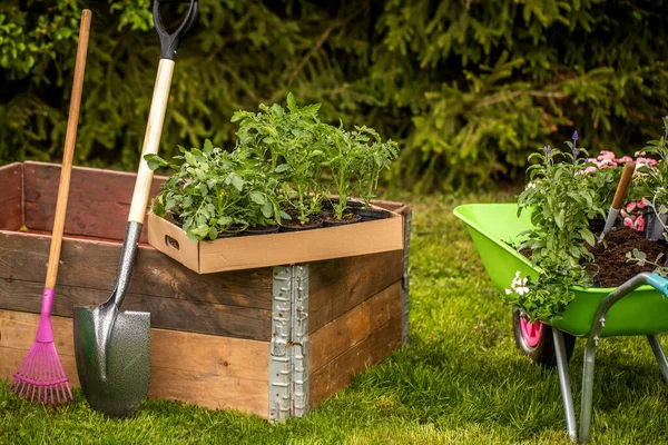 Concepto Fondo Para Jardinería Flores Una Regadera Jardín Guantes Pala —  Fotos de Stock