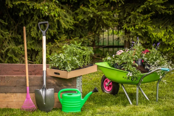 Konzeptioneller Hintergrund Für Die Gartenarbeit Blumen Eine Gartengießkanne Handschuhe Kleine — Stockfoto