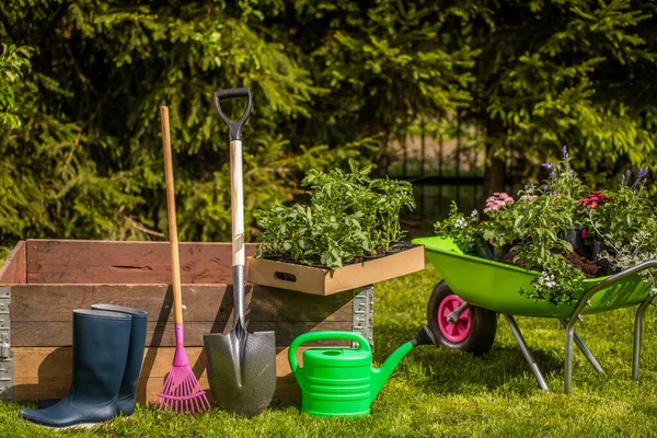 Concept Background Gardening Flores Uma Lata Rega Jardim Luvas Pequena — Fotografia de Stock