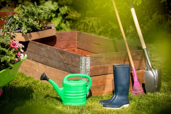 Konzeptioneller Hintergrund Für Die Gartenarbeit Blumen Eine Gartengießkanne Handschuhe Kleine — Stockfoto