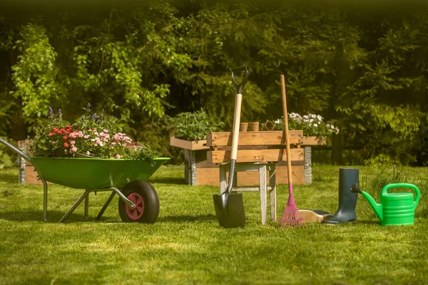 园艺的概念背景 花园浇水可以 小铲子 在花园的手推车上发芽 在阳光下有雏菊的绿色草坪上 漂亮的花园布置 — 图库照片
