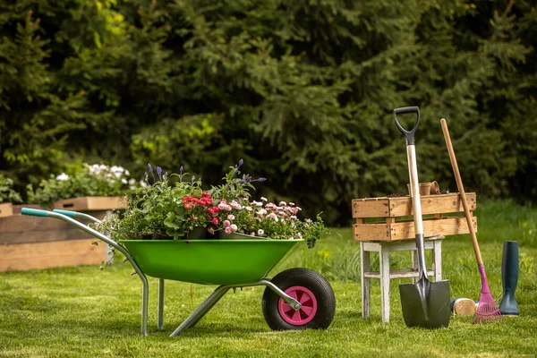 Konzeptioneller Hintergrund Für Die Gartenarbeit Blumen Eine Gartengießkanne Handschuhe Kleine — Stockfoto