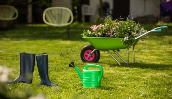 Concepto Fondo Para Jardinería Flores Una Regadera Jardín Guantes Pala —  Fotos de Stock