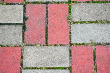 Soyut geometrik çok renkli arka plan