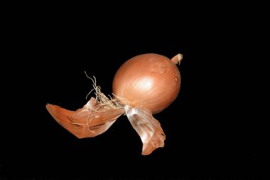 Siyah arkaplanda soğan başı