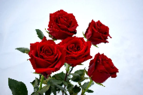 Μπουκέτο Τριαντάφυλλα Σαλόνι Λουλούδια — Φωτογραφία Αρχείου
