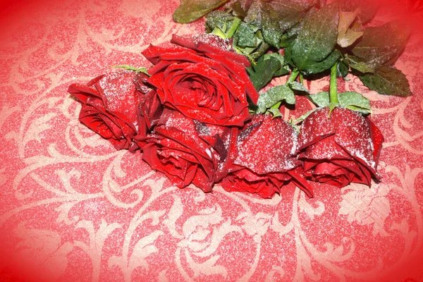 Μπουκέτο Τριαντάφυλλα Σαλόνι Λουλούδια — Φωτογραφία Αρχείου