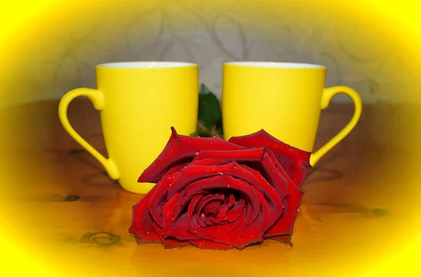 Кофейные Чашки Красная Роза — стоковое фото