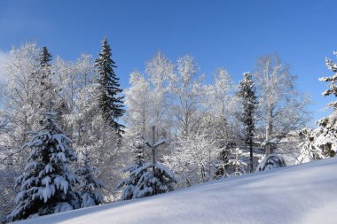  Güneşli bir günde kış manzarası