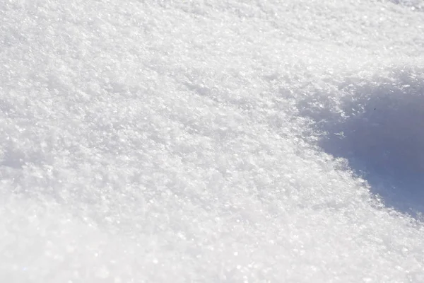 Snow Cover Snowdrifts Forest — Stock Photo, Image